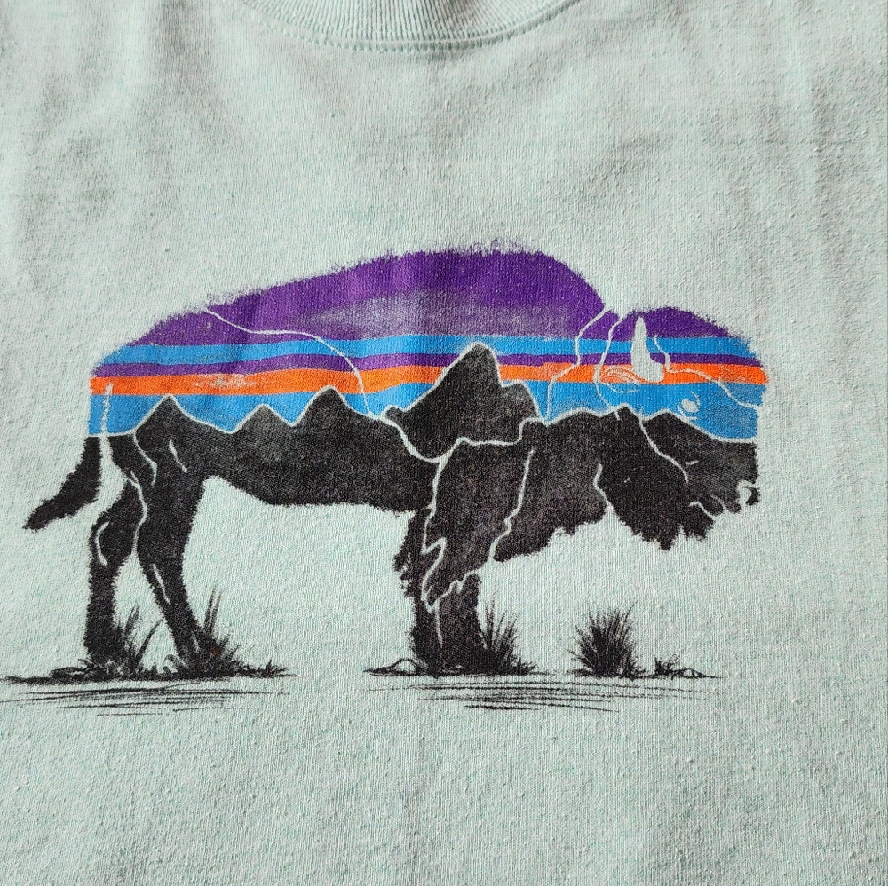 Patagonia 2 T-Shirts